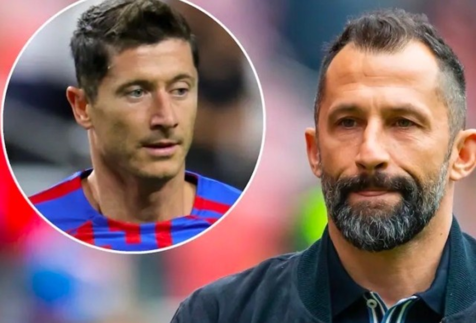 近期的火热 近期的火热