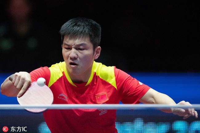 解说领域 解说领域