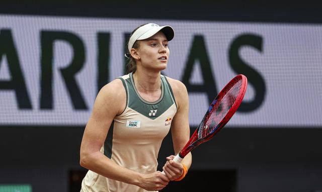 依赖稳健的 依赖稳健的