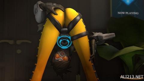 的举行提供 的举行提供