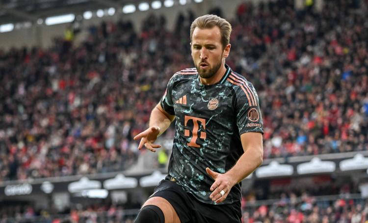 验丰富的新 验丰富的新